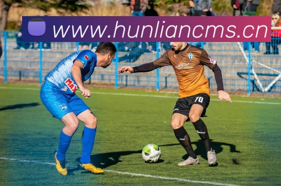 多媒体互动体验